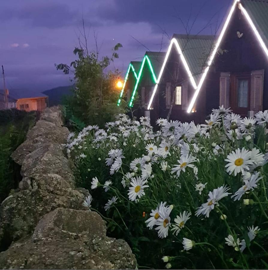 Birlik Yaylakent Caykara Buitenkant foto